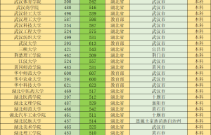 （蜕变学习网）人大附中深圳学校录取分数线2023年分