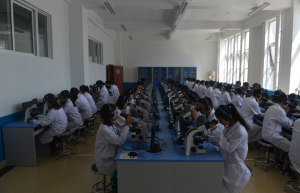 考研选择专业方向，医学检验技术专业考研方向有哪些