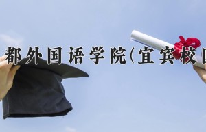 成都外国语学院(宜宾校区)一年学费多少钱及各专业的收费标准（2025参考）