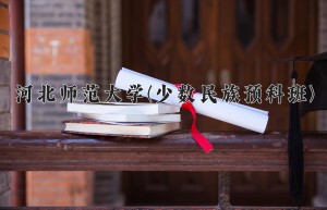 2024年河北师范大学(少数民族预科班)录取分数线，河北最低533分