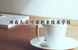 2024湖南大众传媒职业技术学院录取分数线：陕西最低375分