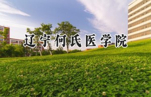 2024辽宁何氏医学院录取分数线：天津最低463分