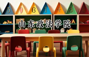 2024山东政法学院录取分数线：山西最低459分