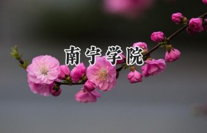 2024南宁学院录取分数线：山西最低382分