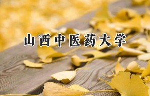 2024山西中医药大学录取分数线：天津最低511分