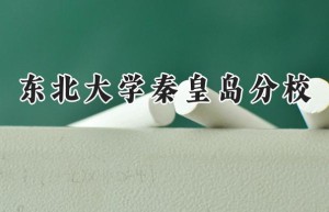 2024东北大学秦皇岛分校录取分数线：山西最低564分