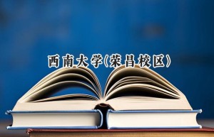 西南大学(荣昌校区)2024在山东录取分数线是多少？最低549分/最高592分