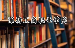 潍坊工商职业学院2024在山东录取分数线是多少？最低247分/最高479分