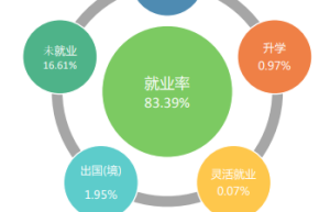 山东建筑大学《形势与政策》课实践学时实践活动登记表填表